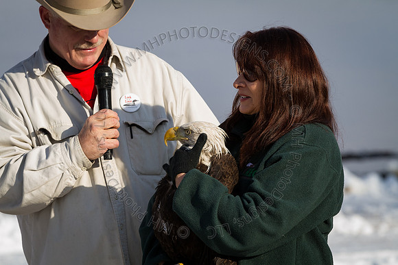 Eagle Days 2012-001