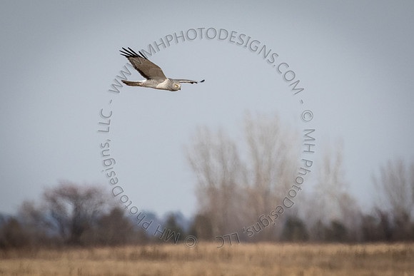 March 2015-012
