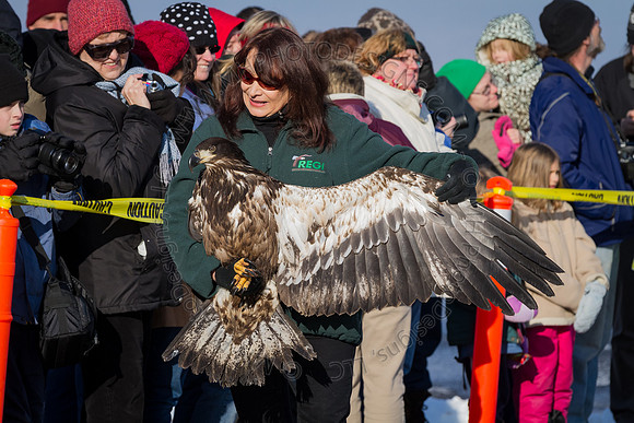 Eagle Days 2012-046