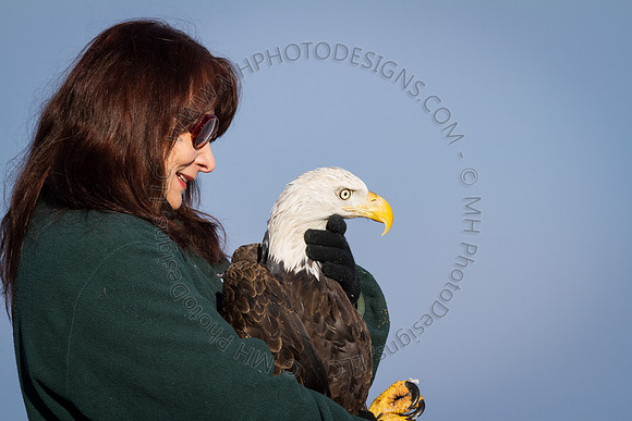 Eagle Days 2012-071