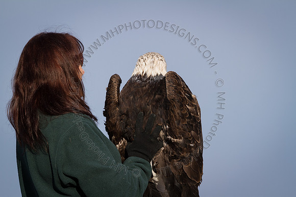 Eagle Days 2012-077