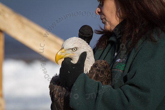 Eagle Days 2012-070