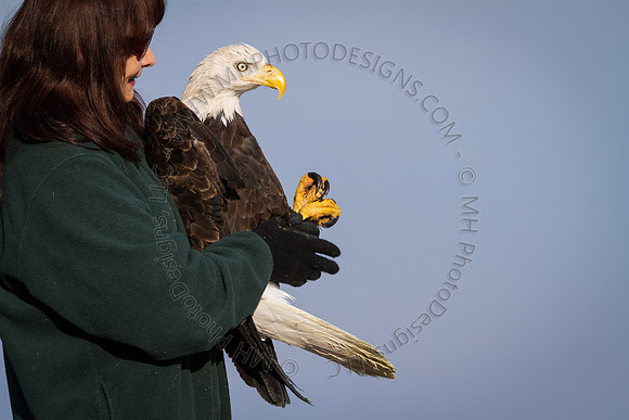 Eagle Days 2012-076