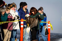 Eagle Days 2012-008