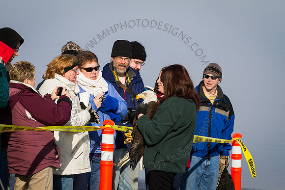 Eagle Days 2012-006