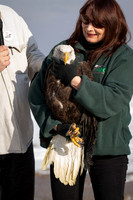 Eagle Days 2012-003