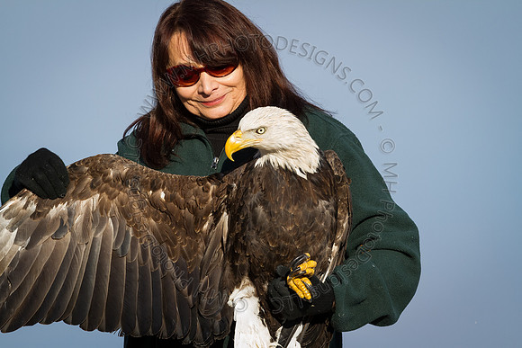 Eagle Days 2012-075