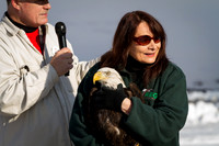 Eagle Days 2012-002