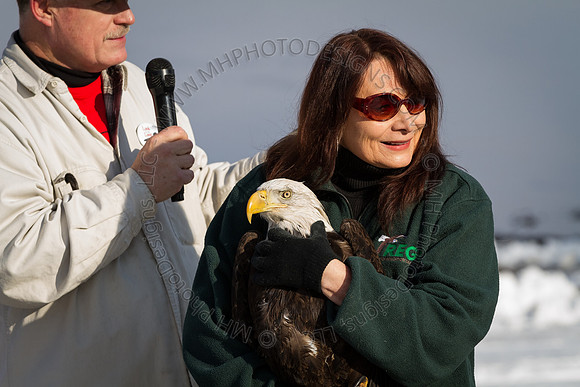 Eagle Days 2012-002