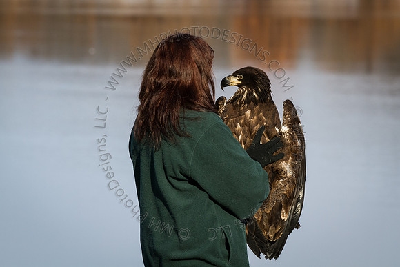 Eagle Days 2012-056