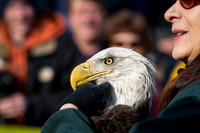 Eagle Days 2012-011