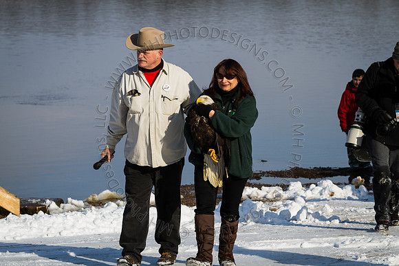 Eagle Days 2012-026