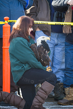 Eagle Days 2012-023