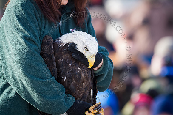 Eagle Days 2012-038