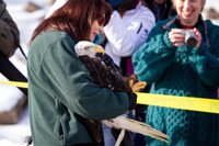 Eagle Days 2012-009