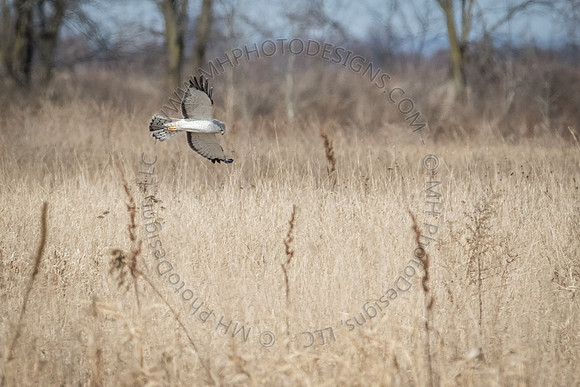 March 2015-011