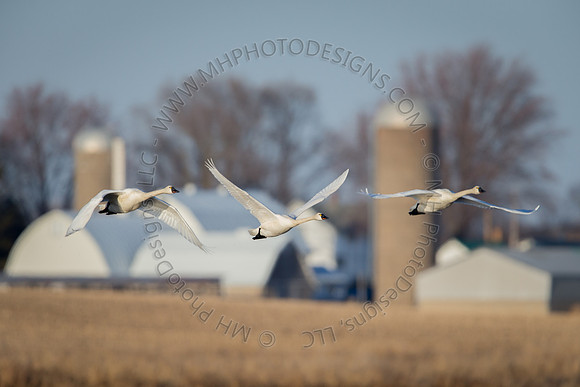 March 2015-021
