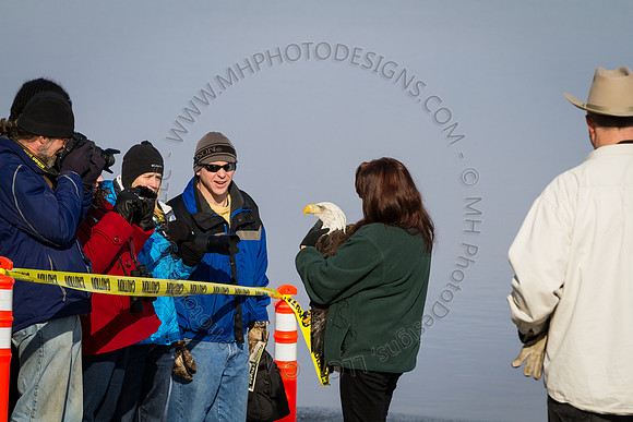Eagle Days 2012-005