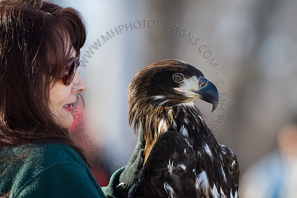 Eagle Days 2012-068