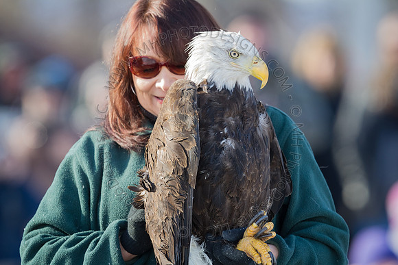 Eagle Days 2012-043