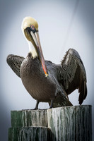 Florida 2012 ~ Week 1-019