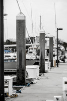Florida 2012 ~ Week 1-009