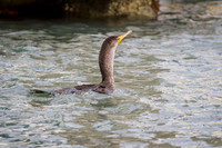 Florida 2012 ~ Week 1-002
