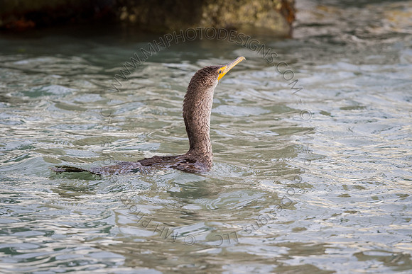 Florida 2012 ~ Week 1-002