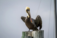 Florida 2012 ~ Week 1-020