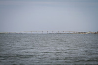 Florida 2012 ~ Week 1-003