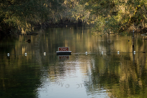 Florida 2012 ~ Week 2-055