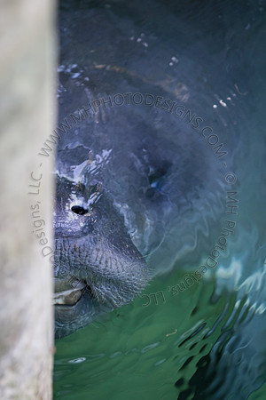 Florida 2012 ~ Week 2-072