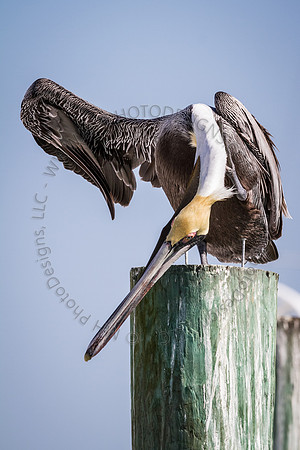 Florida 2012 ~ Week 2-117