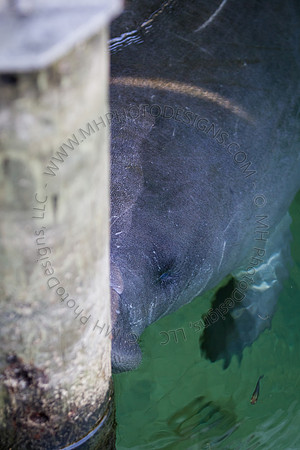 Florida 2012 ~ Week 2-071