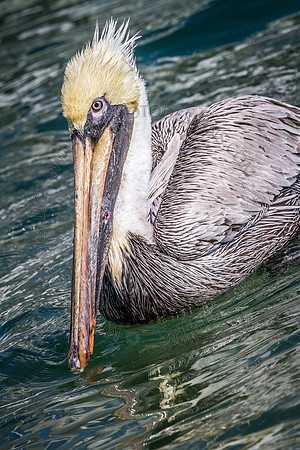 Florida 2012 ~ Week 2-111