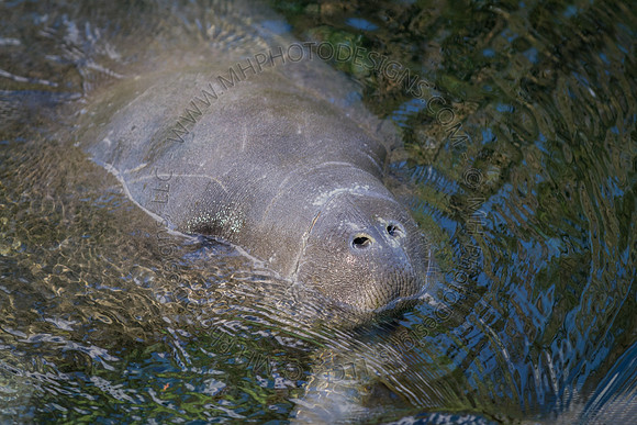 Florida 2012 ~ Week 2-081