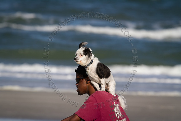 Florida 2012 ~ Week 2-040