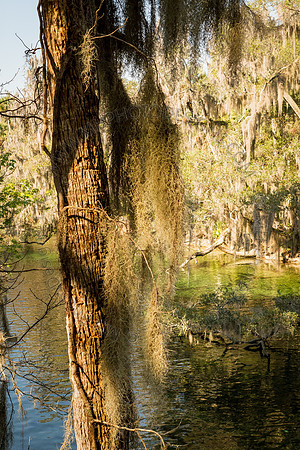 Florida 2012 ~ Week 2-060