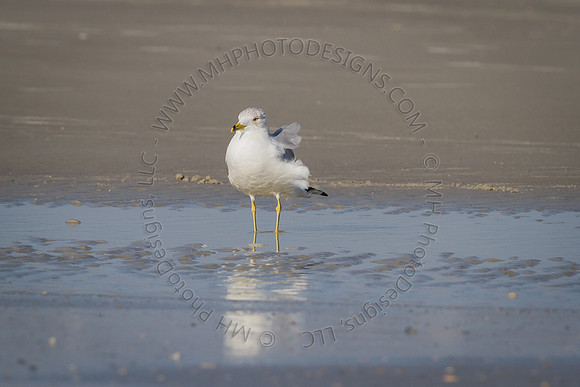 Florida 2012 ~ Week 2-026