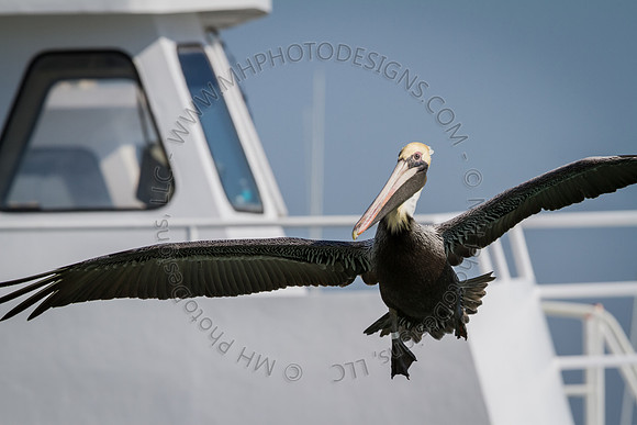 Florida 2012 ~ Week 2-125