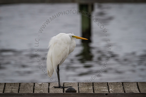 Florida 2012 ~ Week 2-049