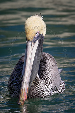 Florida 2012 ~ Week 2-138