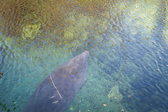 Florida 2012 ~ Week 2-070