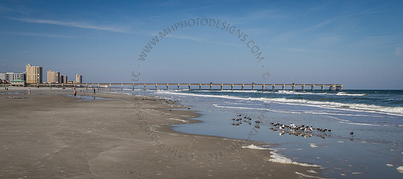 Florida 2012 ~ Week 2-001