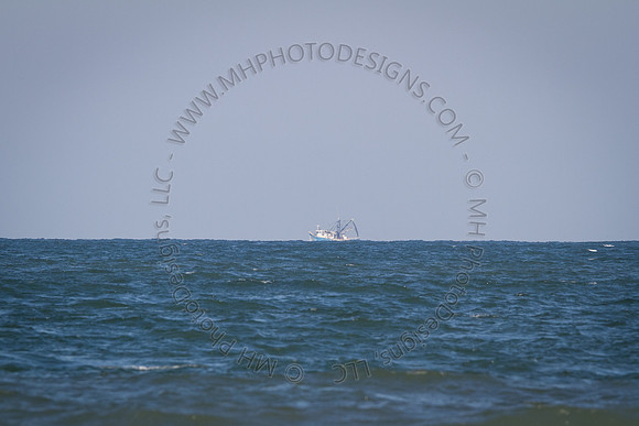 Florida 2012 ~ Week 2-024