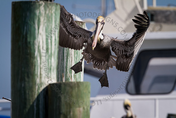 Florida 2012 ~ Week 2-127
