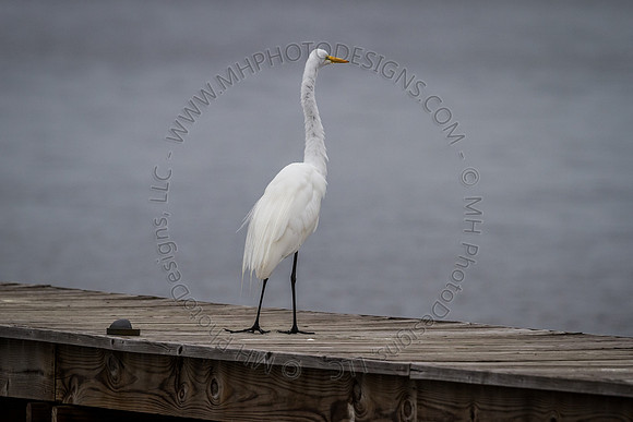 Florida 2012 ~ Week 2-048