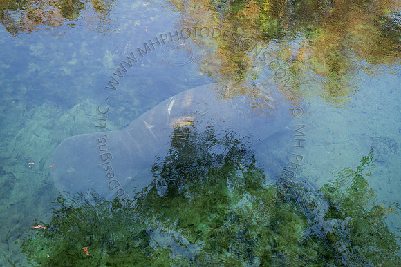 Florida 2012 ~ Week 2-050