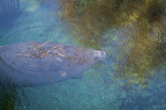 Florida 2012 ~ Week 2-052