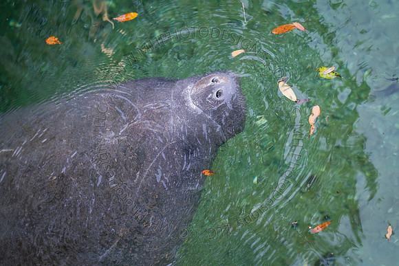 Florida 2012 ~ Week 2-075